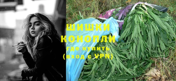 гидропоника Алзамай